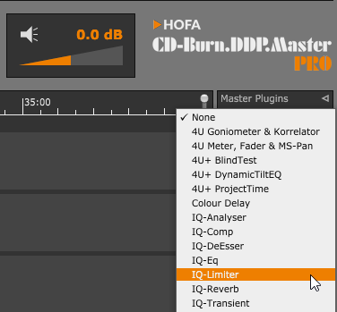 Master Plugins bei einer Summenbearbeitung